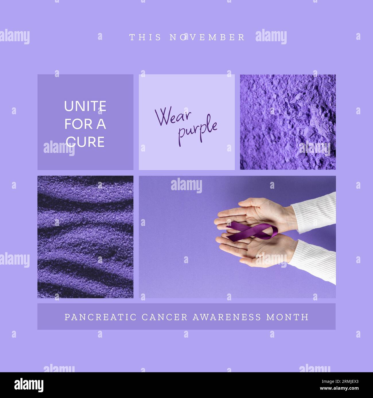 Kaukasische Hände mit violettem Awareness-Band, Pankreaskrebs-Awareness-Monat, lila Pulver Stockfoto
