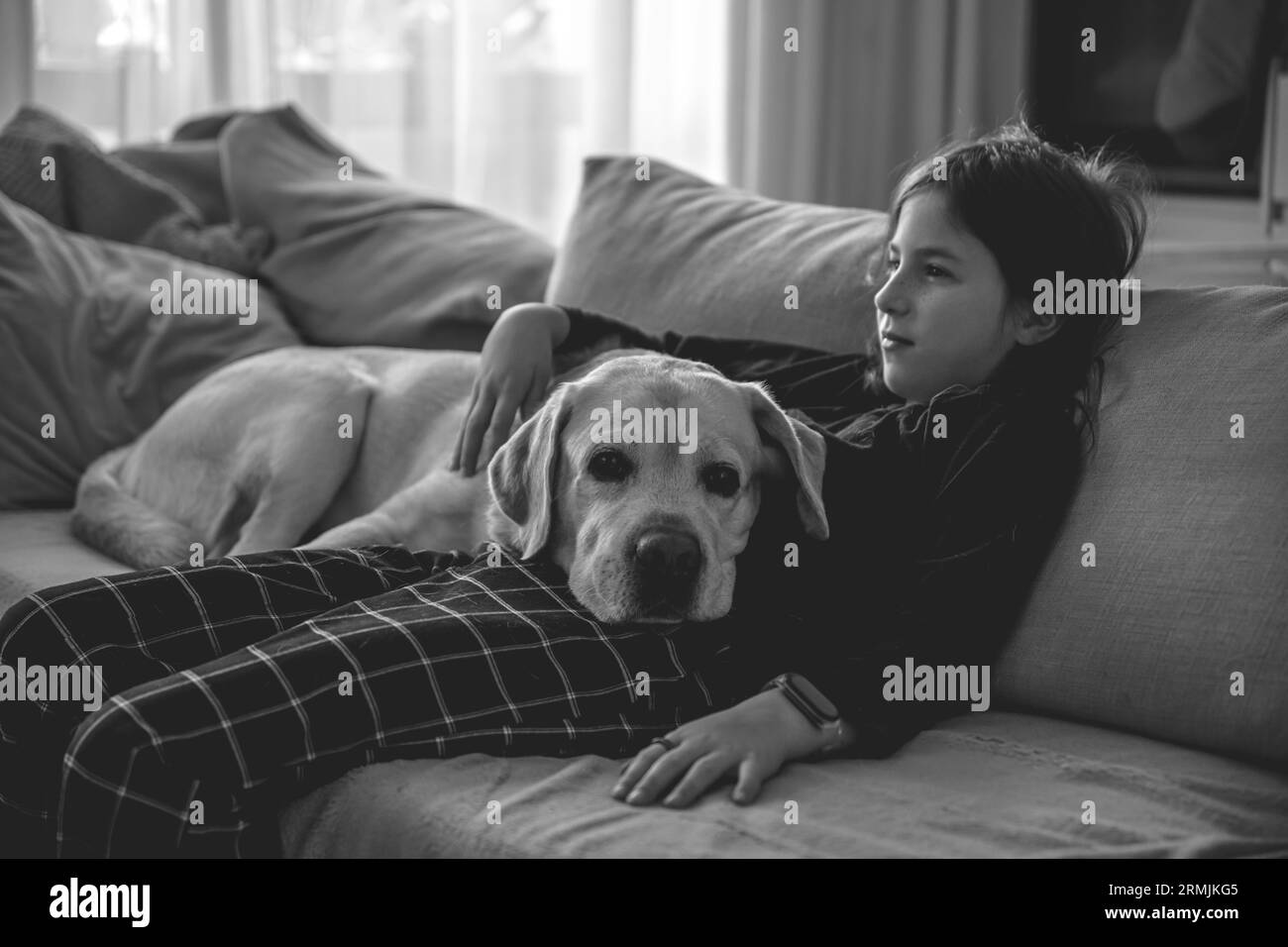 Ein Mädchen mit ihrem Labrador auf der Couch. Freundschaft, Haustier Stockfoto