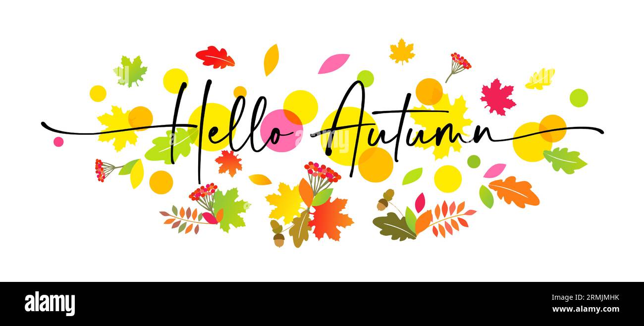 Hello Autumn elegante Schrift mit farbigen ebereschen, Eicheln, Eichen und Ahornblättern. Herbstblätter und Handschriftensatz. Hintergrund oder Banner Stock Vektor