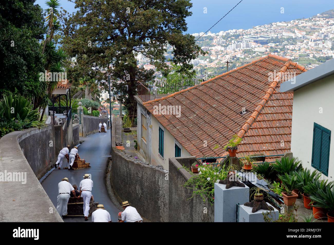 Eine Korbrodelabfahrt vom Monte in Funchal ist eine Touristenattraktion Stockfoto