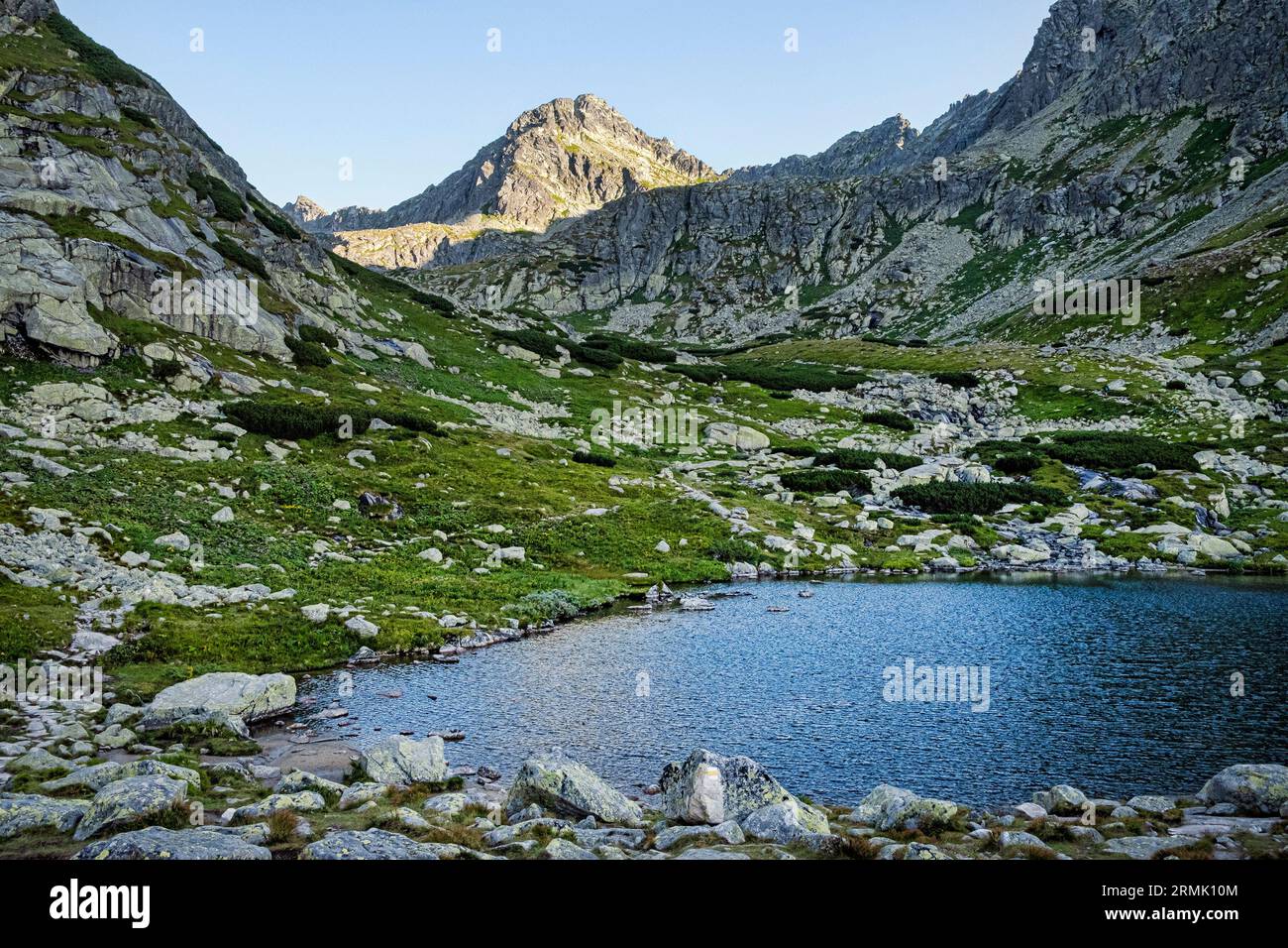 Naturlandschaft mit tarn im Mlynicka-Tal, hohe Tatra, Slowakische republik. Wandermotiv. Stockfoto