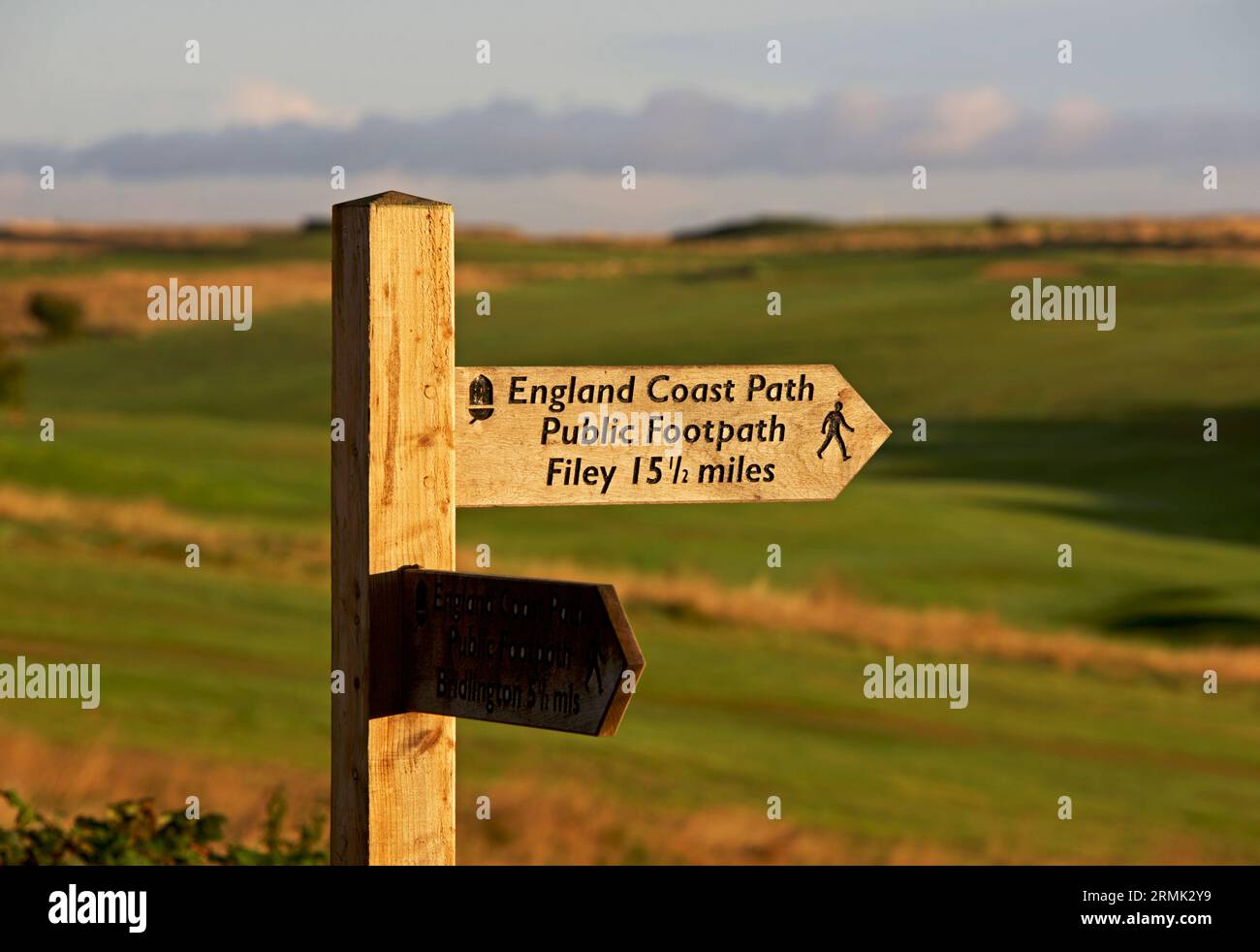 Flamborough Head, East Yorkshire, England, Vereinigtes Königreich Stockfoto