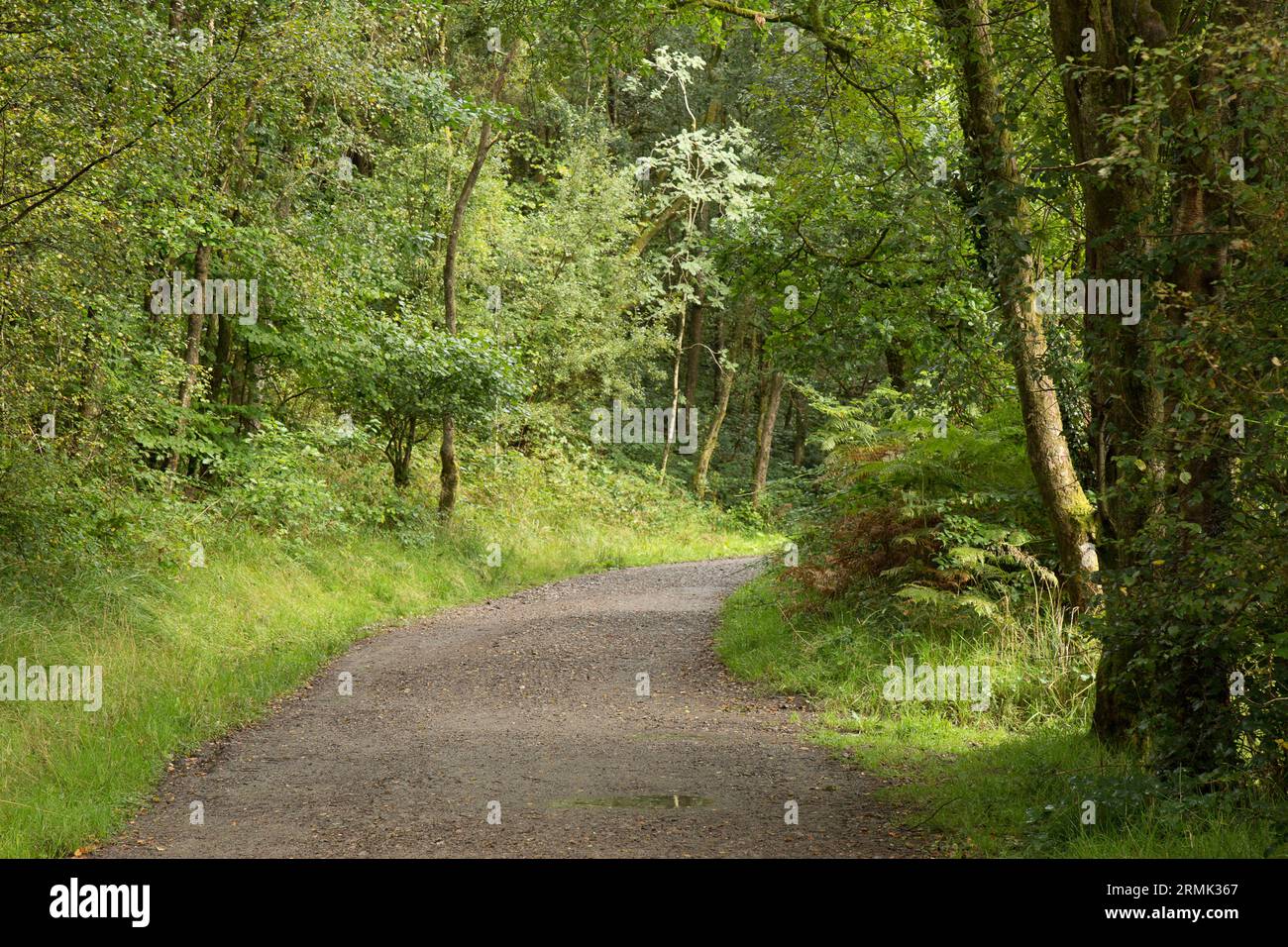 Four Waterfalls Gwaun Hapste Brecon Beacons, Bannau Brycheiniog Wales Stockfoto