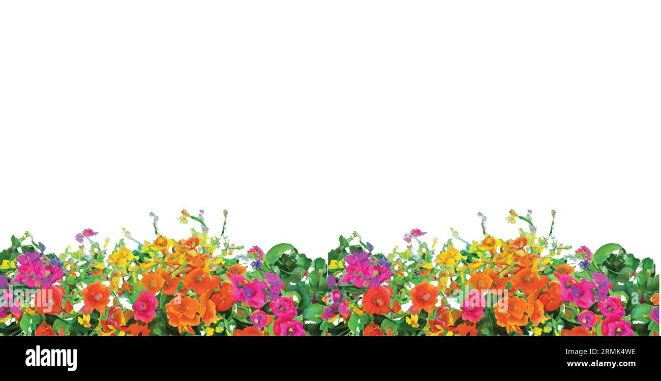 Hintergrundvektorgrafik mit blumenrahmen Stock Vektor