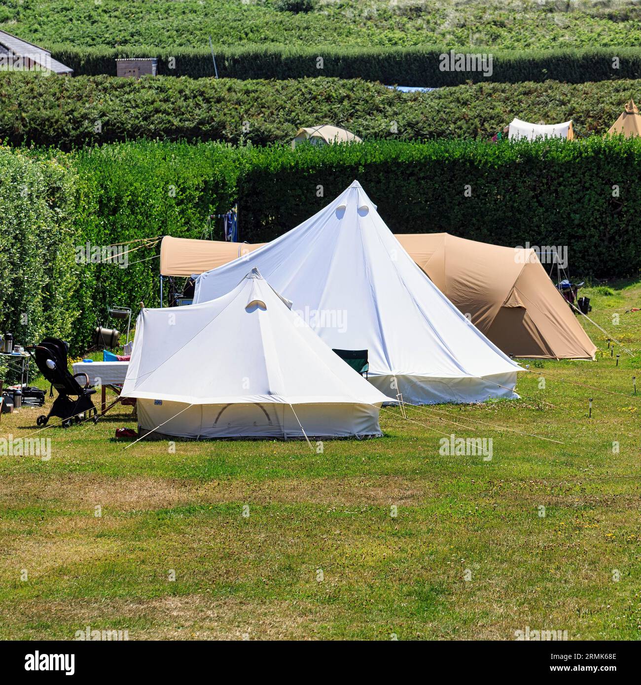 Zelte auf einer Wiese, Campingplatz St. Martins, St. Martin's, Scilly-Inseln, Cornwall, England, Vereinigtes Königreich Stockfoto