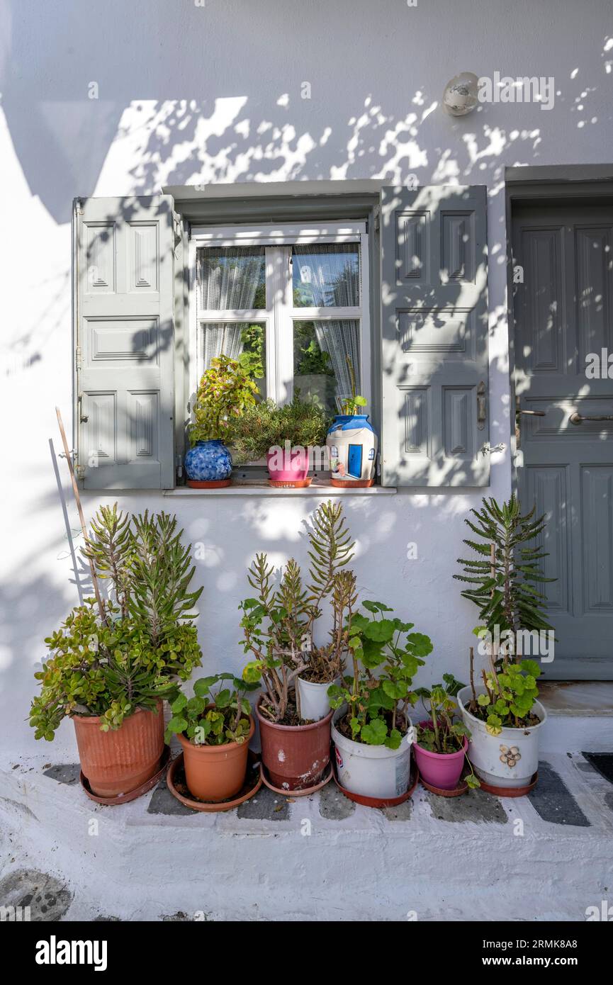 Hausfassade mit Fenster und Blumentöpfen, Gassen der Altstadt, Mykonos Stadt, Mykonos, Kykladen Stockfoto