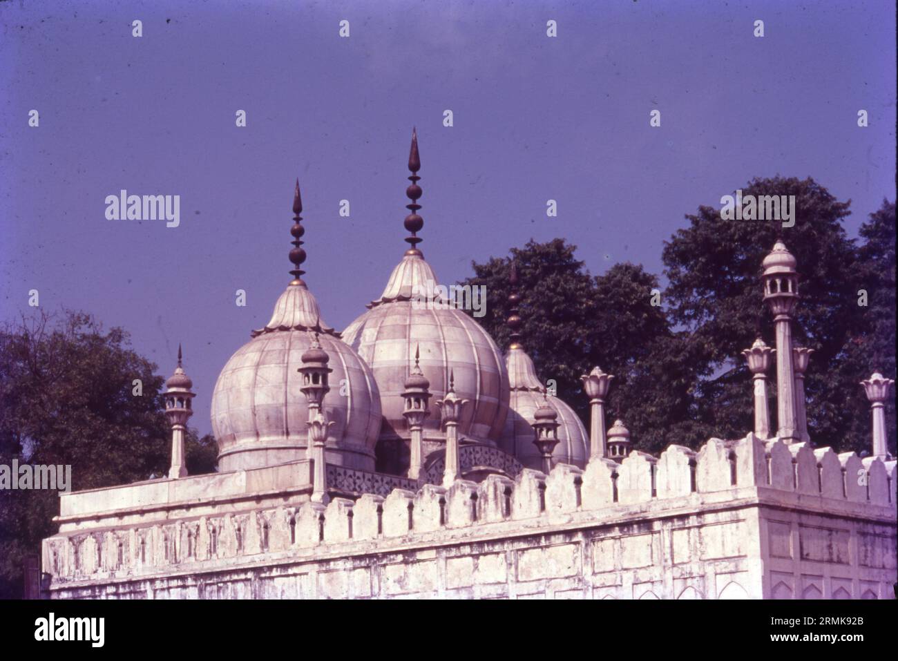 Die Moti Masjid ist eine weiße Marmormoschee im Red Fort Complex in Delhi, Indien. Westlich des Hammam und in der Nähe der Diwan-i-Khas gelegen, wurde es von dem Mogulkaiser Aurangzeb von 1659 bis 1660 erbaut. Stockfoto