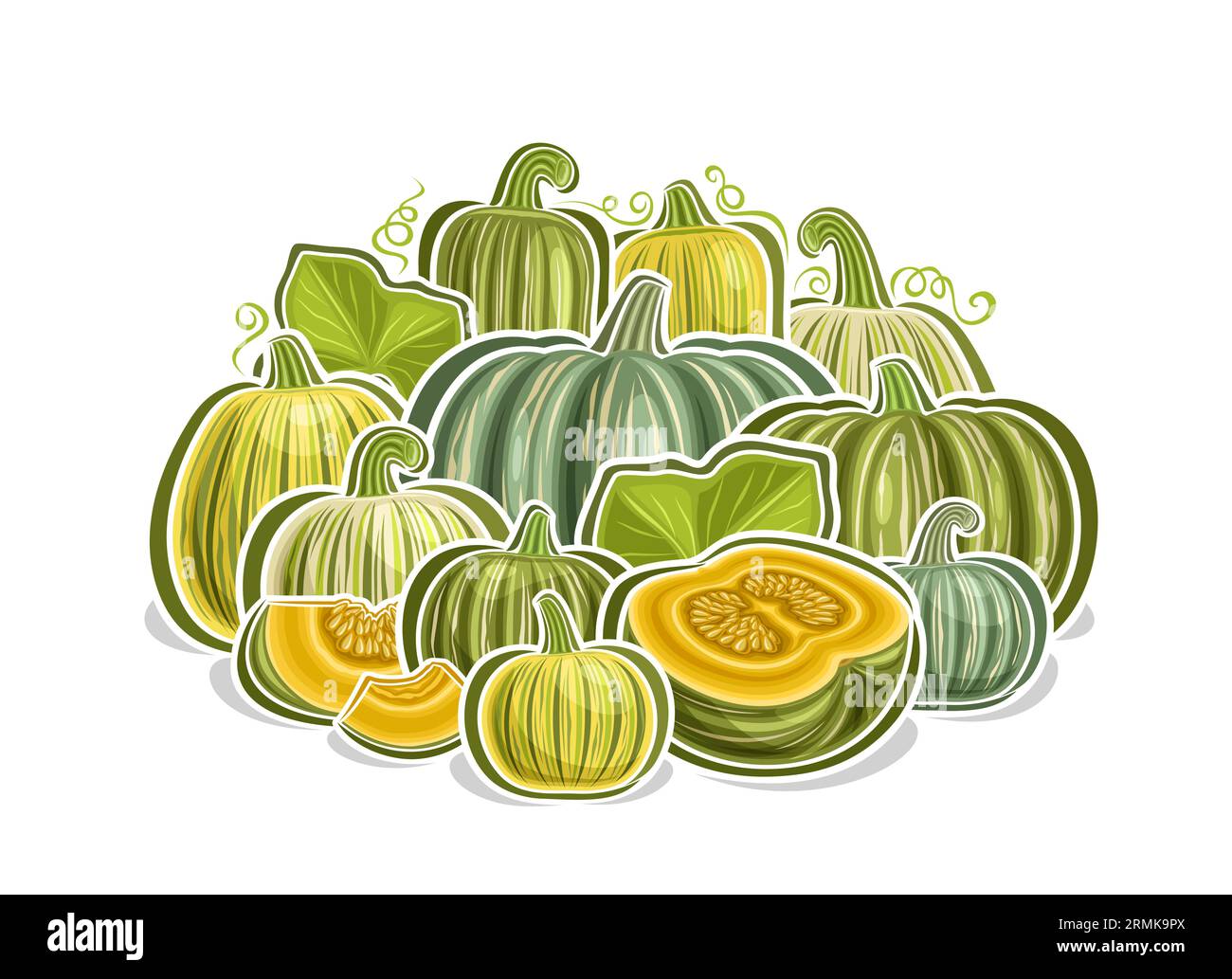 Vektor-Logo für Kabocha, dekoratives horizontales Poster mit Karikaturdesign grüner Kürbis vegetarische Zusammensetzung, veganer Druck mit Vielfalt ganz und geschnitten Stock Vektor