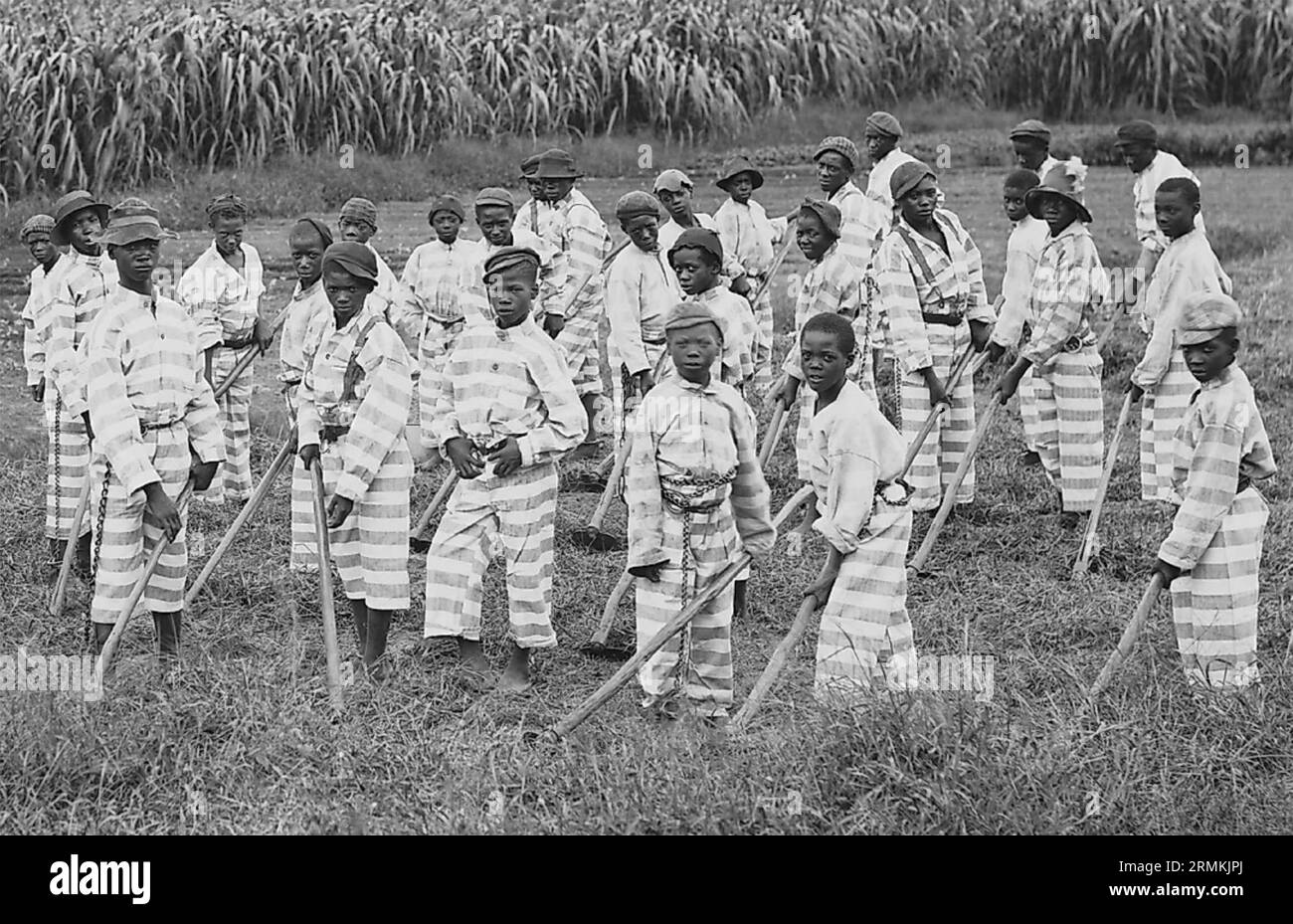 JUNGE SCHWARZE STRÄFLINGE in einer südamerikanischen Kettenbande um 1903. Einige Gefängnisse verpachteten Gruppen, um Zwangsarbeit zu leisten, wie hier auf einer Zuckerplantage. Stockfoto