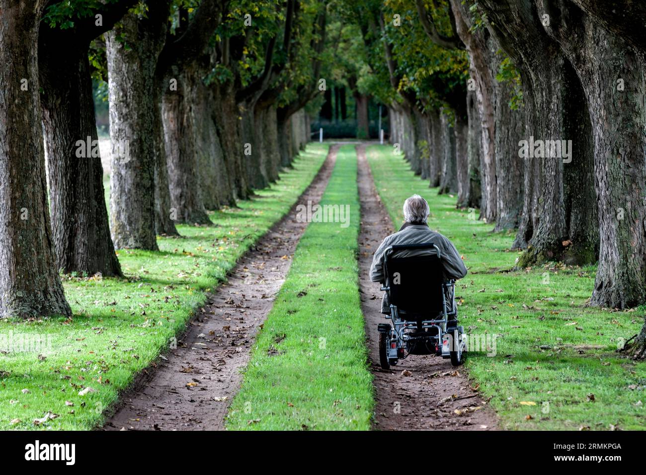Rollstuhlfahrer in einer Allee, Varel, Bezirk Friesland, Niedersachsen Stockfoto
