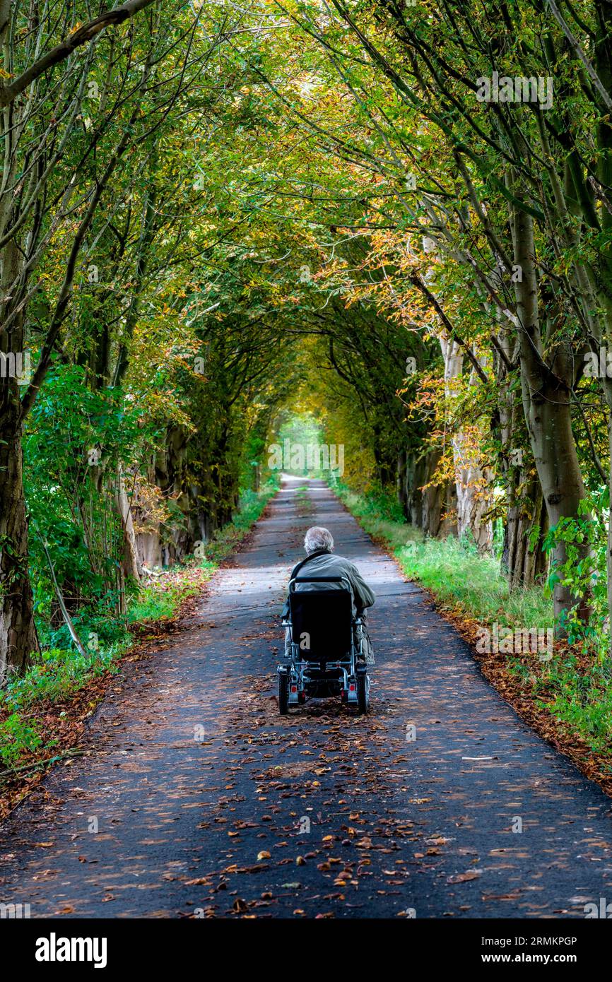 Rollstuhlfahrer in einer Allee, Varel, Bezirk Friesland, Niedersachsen Stockfoto