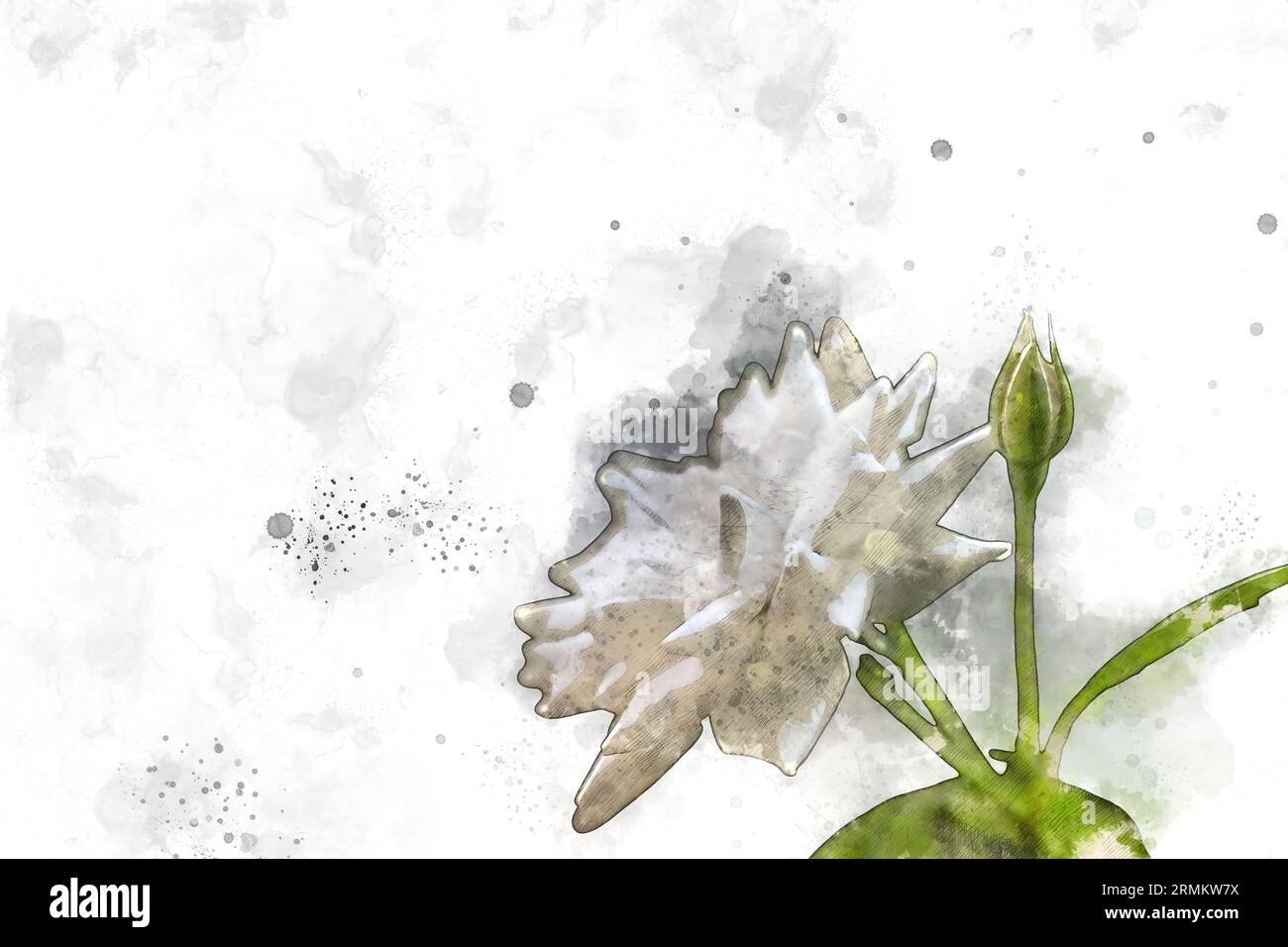 Digitales Bild einer wunderschönen und perfekten weißen Eisbergraue Stockfoto