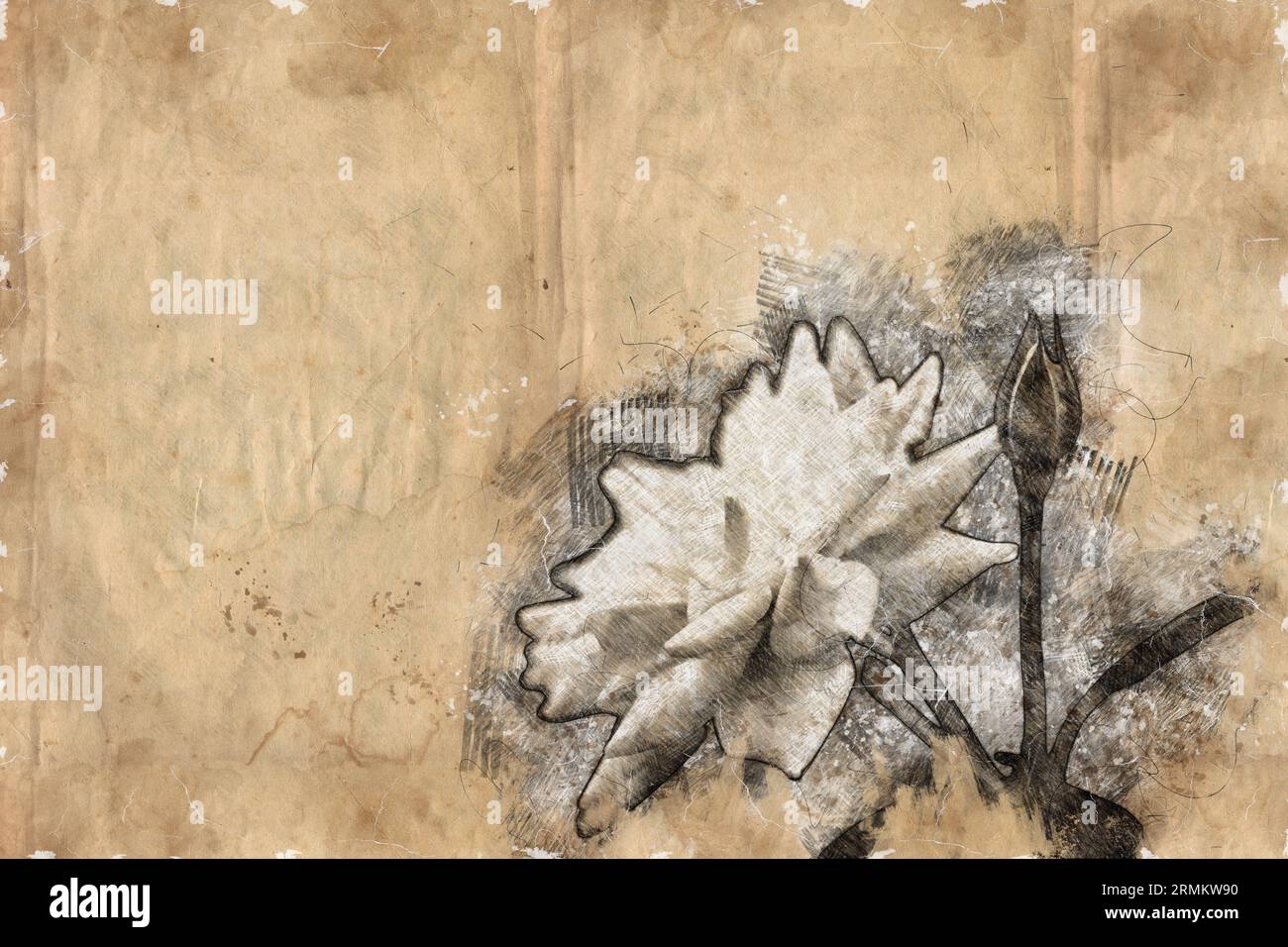 Digitales Bild einer wunderschönen und perfekten weißen Eisbergraue Stockfoto
