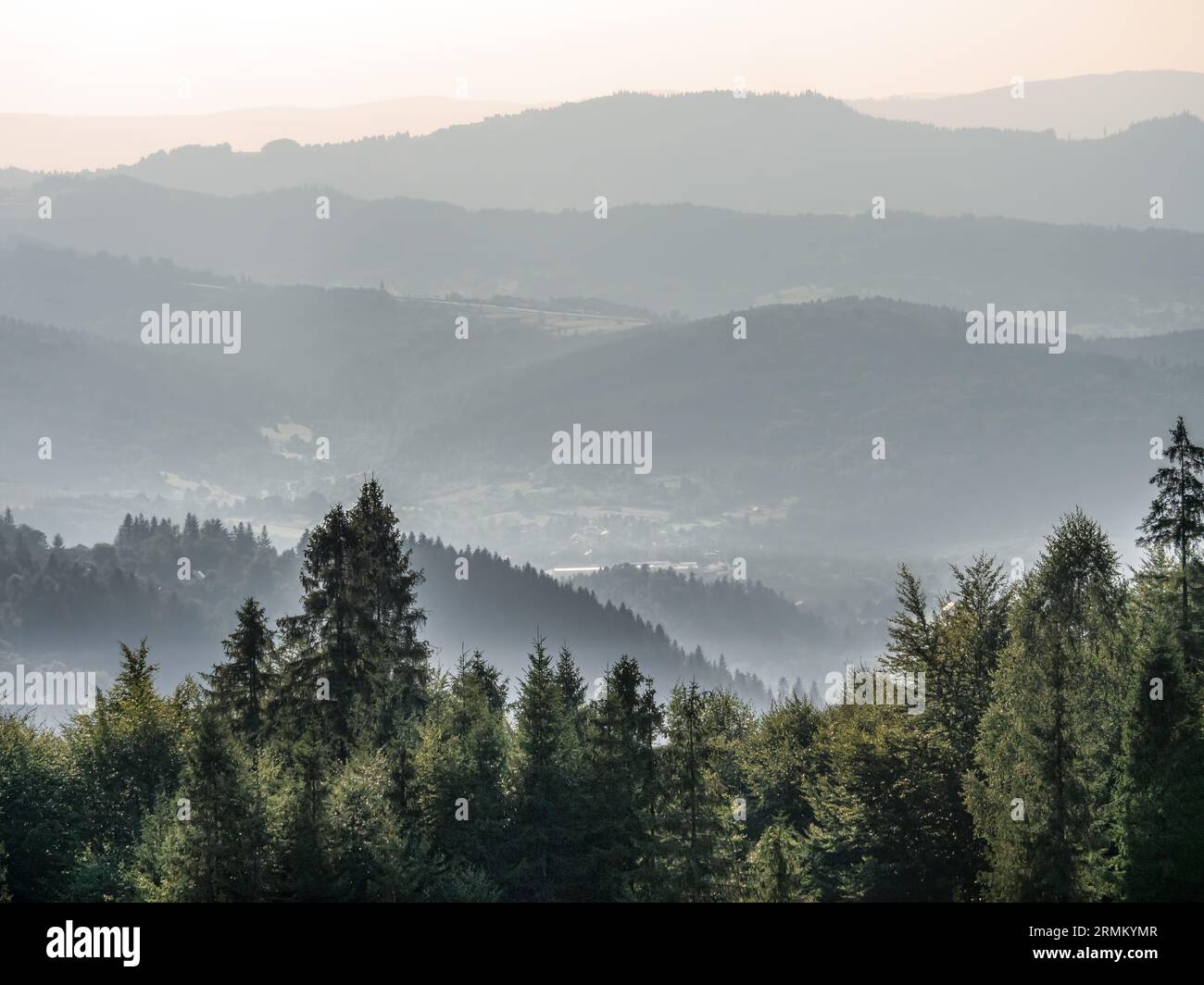 Panoramablick auf das Beskid Zywiecki-Gebirge von Hala Boracza, Polen Stockfoto