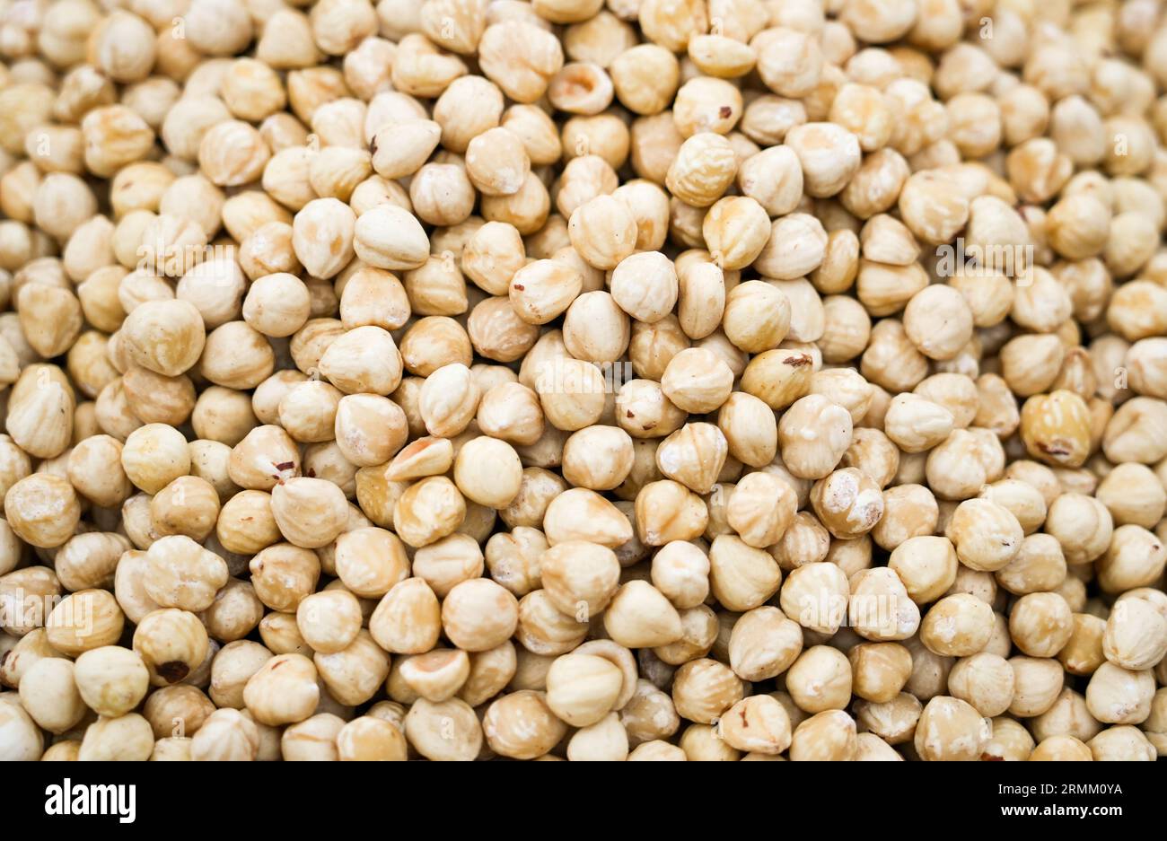 Haselnüsse mit Schale aus nächster Nähe. Nüsse als Hintergrund. Stockfoto