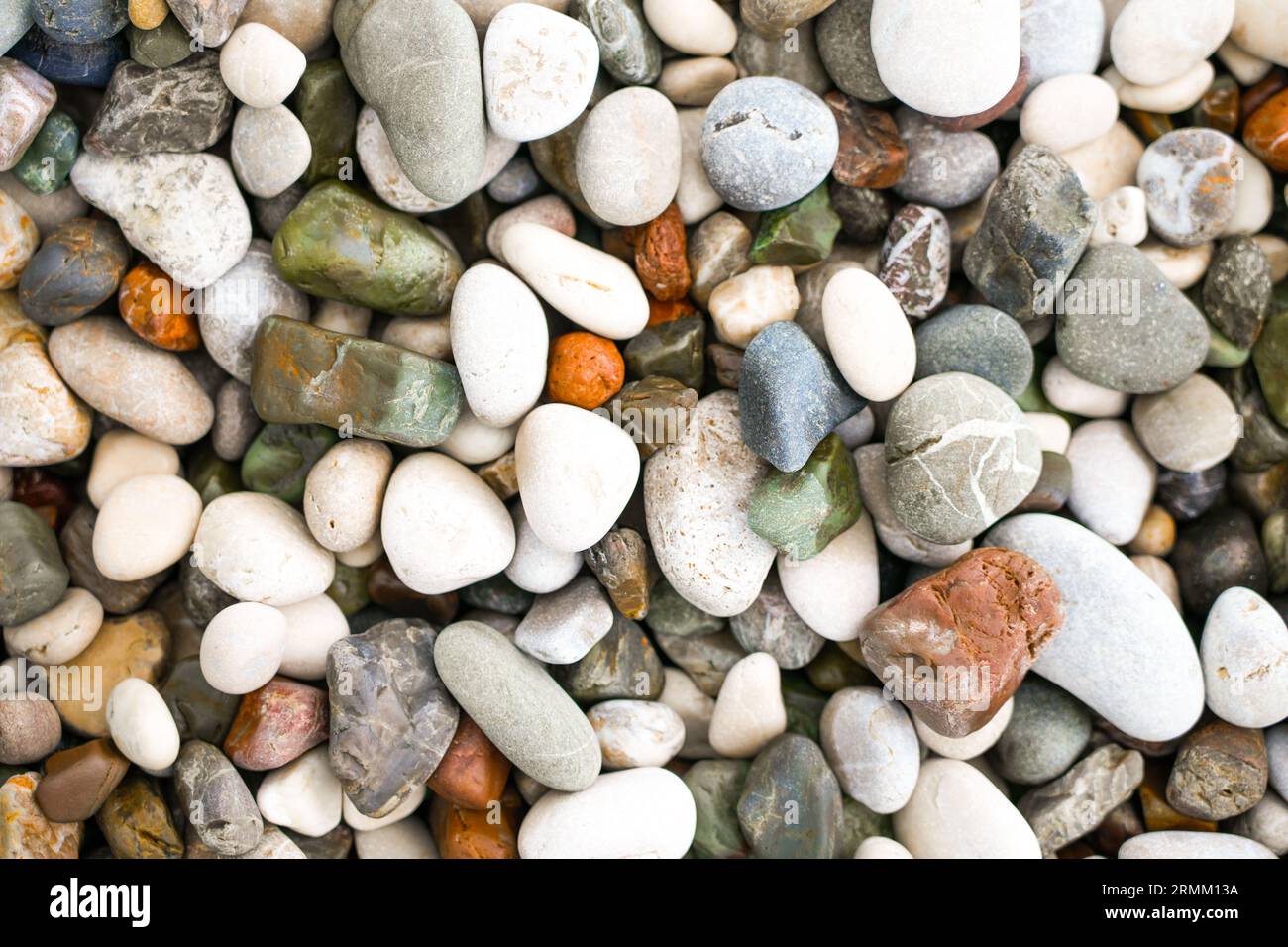 Nahaufnahme des Kieselstrandes. Kieselsteine als Hintergrund. Stockfoto