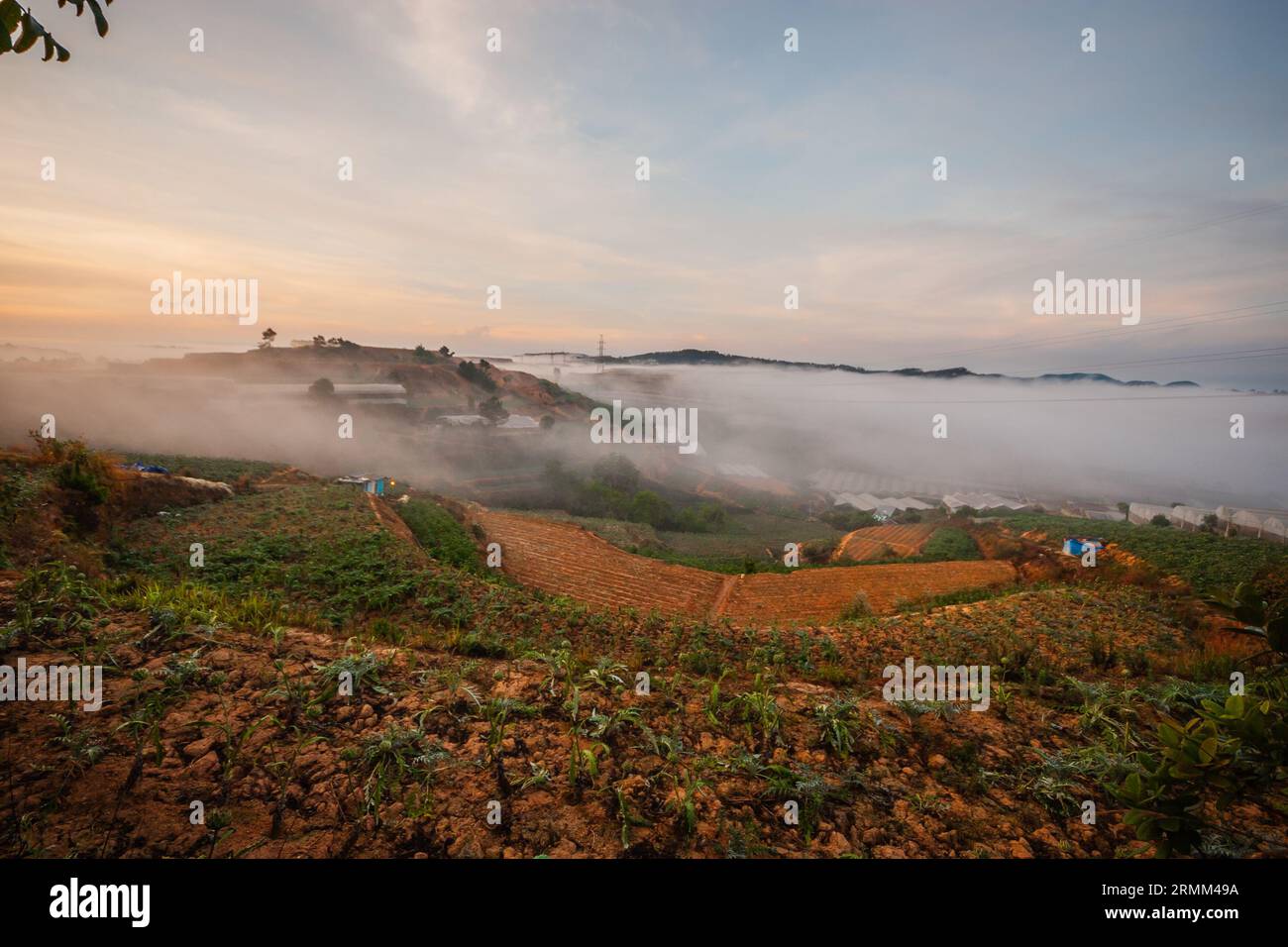 Landschaft von da Lat, Täler mit Gewächshäusern, die überall in da Lat wachsen, Gewächshäuser, die in Nebel getaucht sind Stockfoto