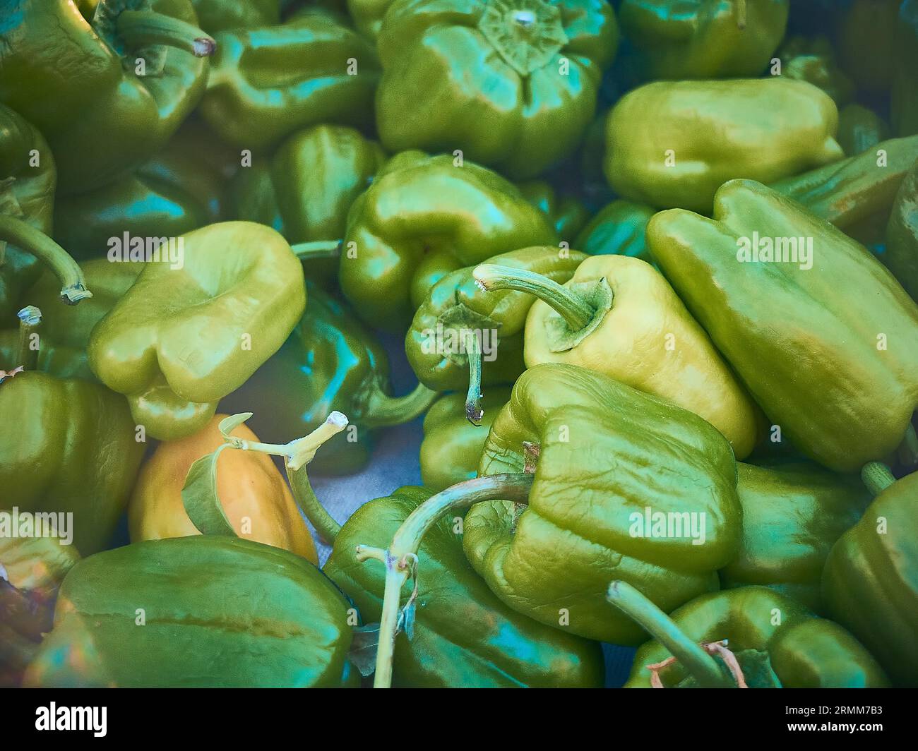 Grüner Paprika Stockfoto