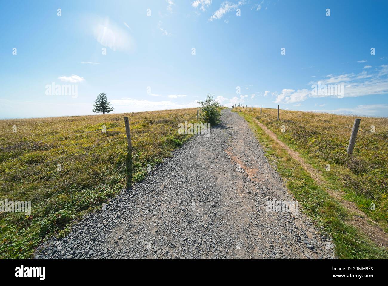 Bilder vom Belchen, einem 1414 m hohen Berg im Schwarzwald. Stockfoto