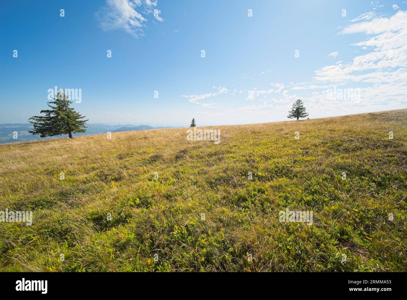 Bilder vom Belchen, einem 1414 m hohen Berg im Schwarzwald. Stockfoto