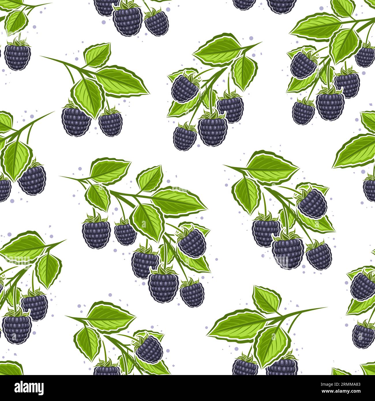 Vector Blackberry Branches nahtloses Muster, quadratischer Wiederholungshintergrund mit Illustration von Brombeeren Stillleben Zusammensetzung für Geschenkpapier, Farbe Stock Vektor