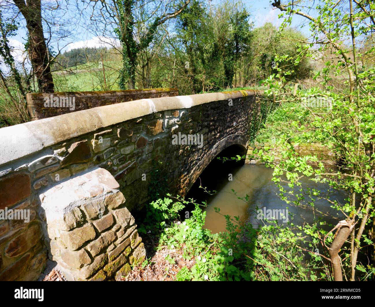 Dowrich Bridge, Crediton, Devon. Stockfoto