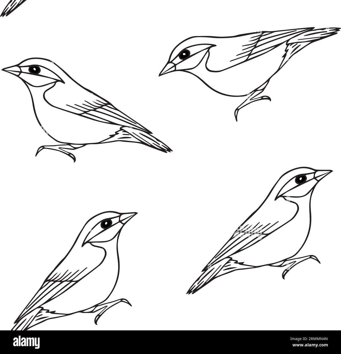 Vektor nahtloses Muster von Hand gezeichnet Doodle Skizze Nuthatch Vogel isoliert auf weißem Hintergrund Stock Vektor