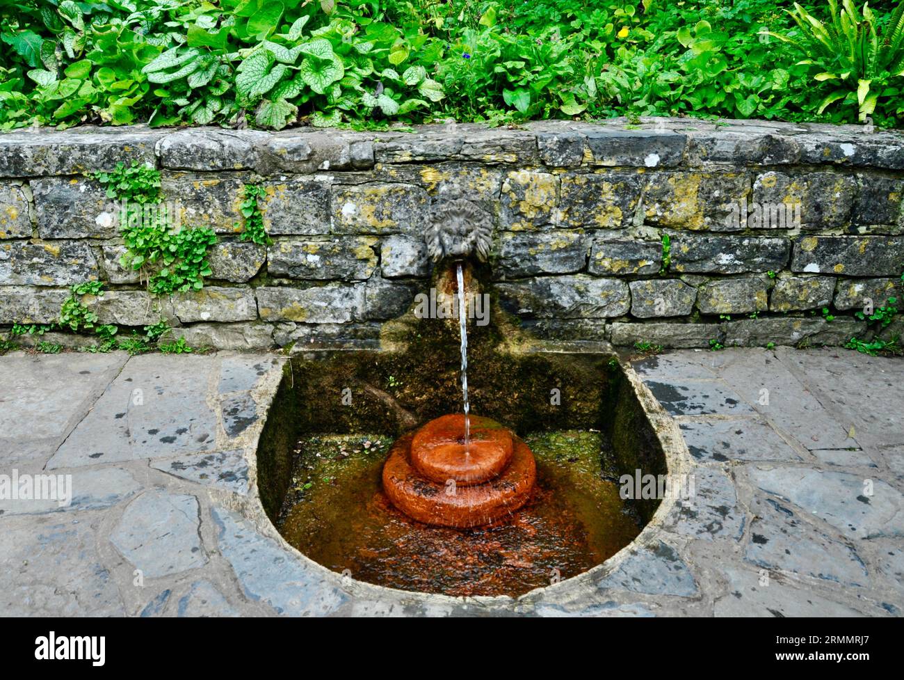 Chalice Well Gardens, Glasonbury, Somerset, England - Lions Head Fountain Stockfoto