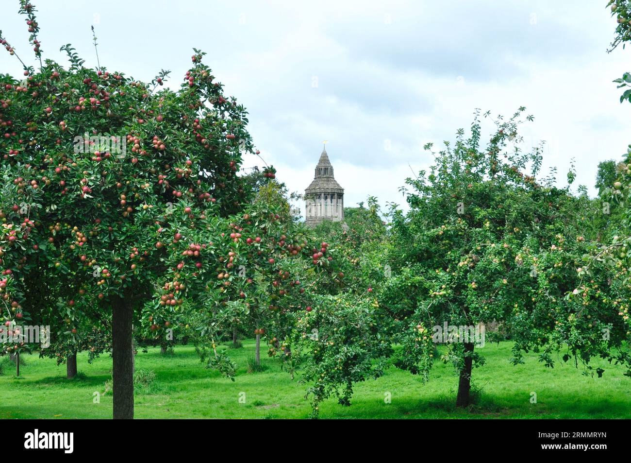 The Abbot's Kitchen – ein mittelalterliches achteckiges Gebäude, das als Küche in der Glastonbury Abbey in Glastonbury, Somerset, diente, wie vom Obstgarten aus gesehen. Stockfoto