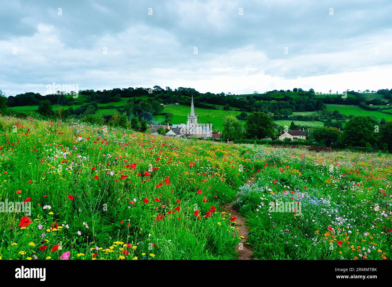 Wilde Blumenwiese mit Wanderweg, der zum Dorf Somerset in Croscombe führt. Stockfoto