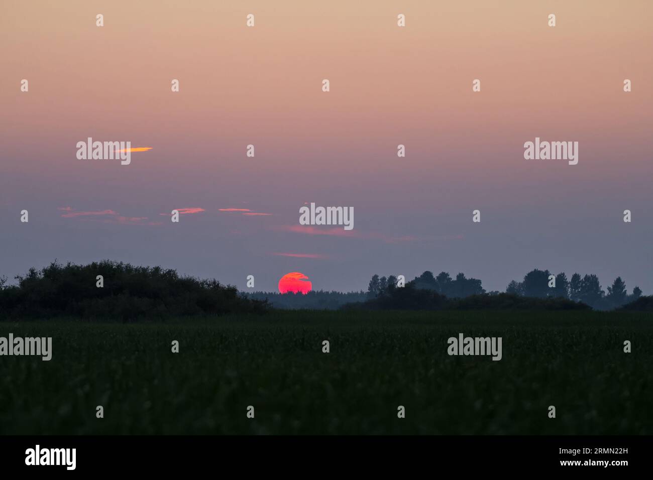 Die Abenddämmerung kommt. Die Sonne unterging über den buschigen Wiesen im nördlichen August Stockfoto