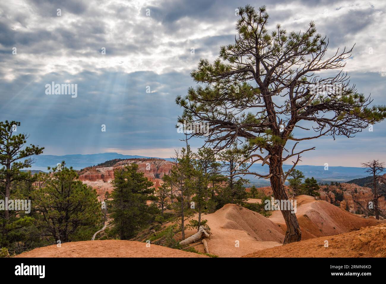 Die dramatische Landschaft des Bryce Canyon National Park. Wind, Wetter, Wasser und Ewigkeiten der Zeit haben ein Naturwunder geschaffen. Stockfoto