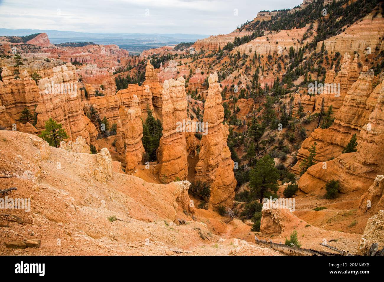 Die dramatische Landschaft des Bryce Canyon National Park. Wind, Wetter, Wasser und Ewigkeiten der Zeit haben ein Naturwunder geschaffen. Stockfoto