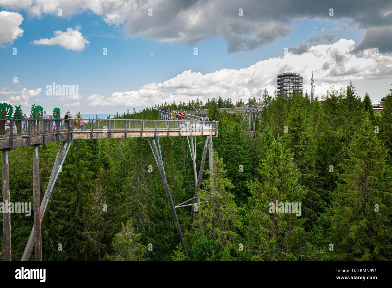 Erhöhter Gehweg in Bachledka Treetop Walk, Pieniny Nationalpark, Slowakei. Stockfoto