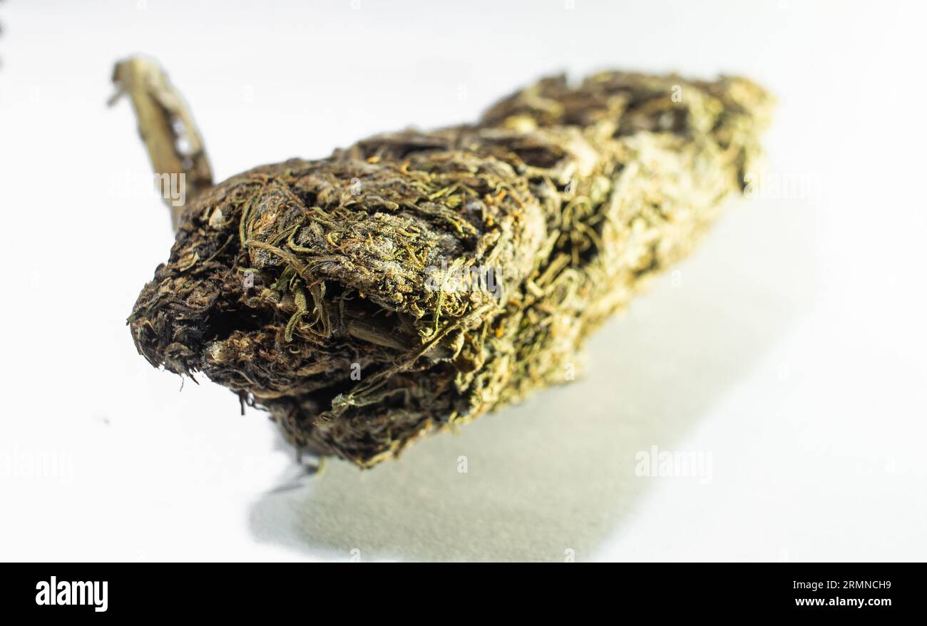 Marihuana-Knospen auf weißem Hintergrund. Ein Stockfoto von medizinischem Marihuana. Perfekt für Projekte über Medizin, Nachrichten, Produkt Cannabis, Freizeit dru Stockfoto