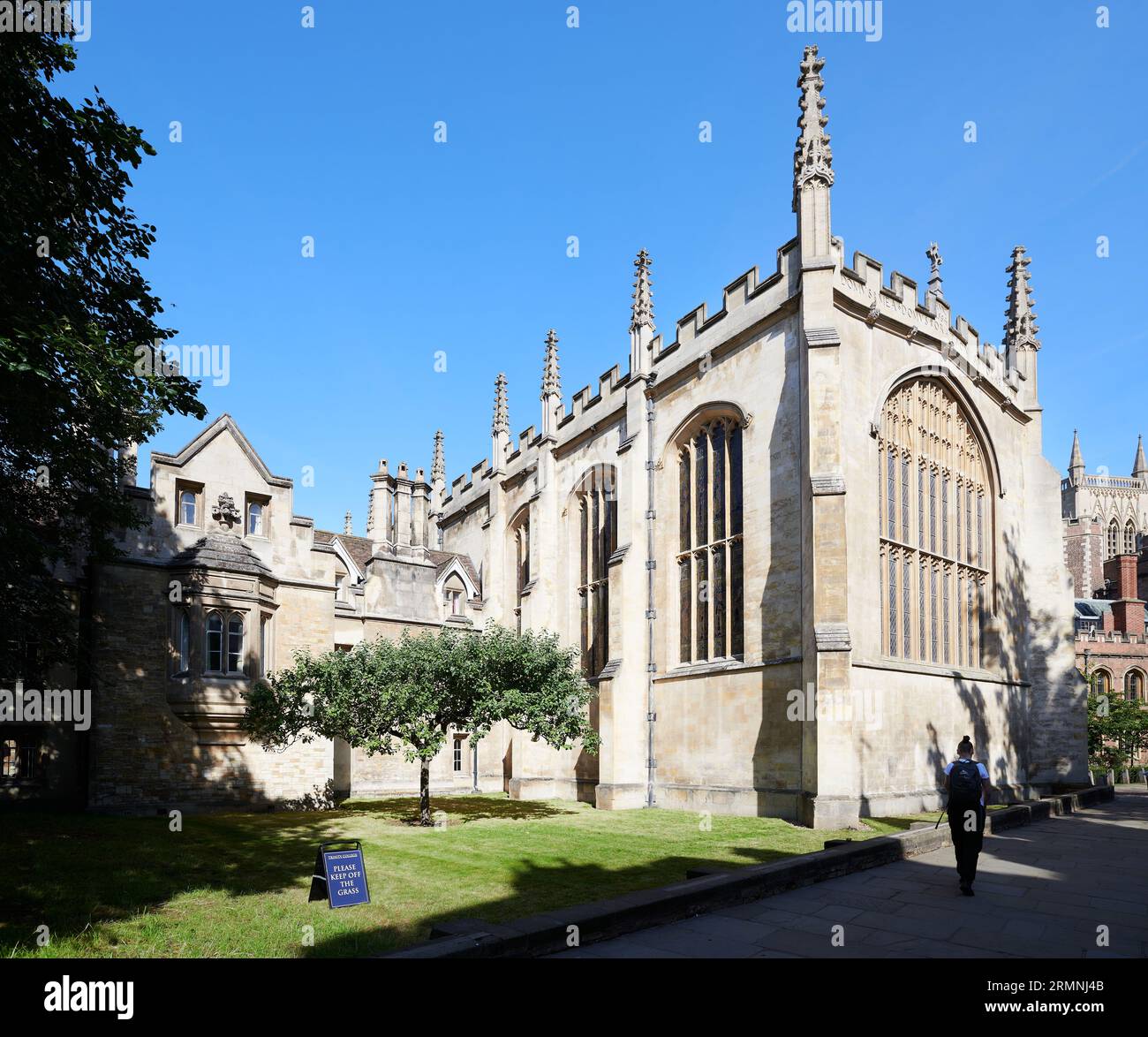 Apfelbaum (angeblich vom Baum in Isaac Newtons Haus abgestiegen) und Kapelle am Trinity College, University of Cambridge, England. Stockfoto