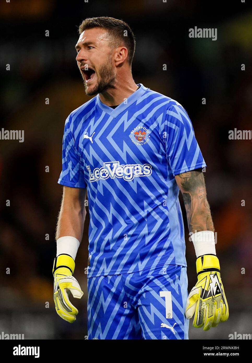 Blackpool-Torhüter Richard O’Donnell während des Carabao Cup-Spiels in der zweiten Runde im Molineux Stadium in Wolverhampton. Bilddatum: Dienstag, 29. August 2023. Stockfoto