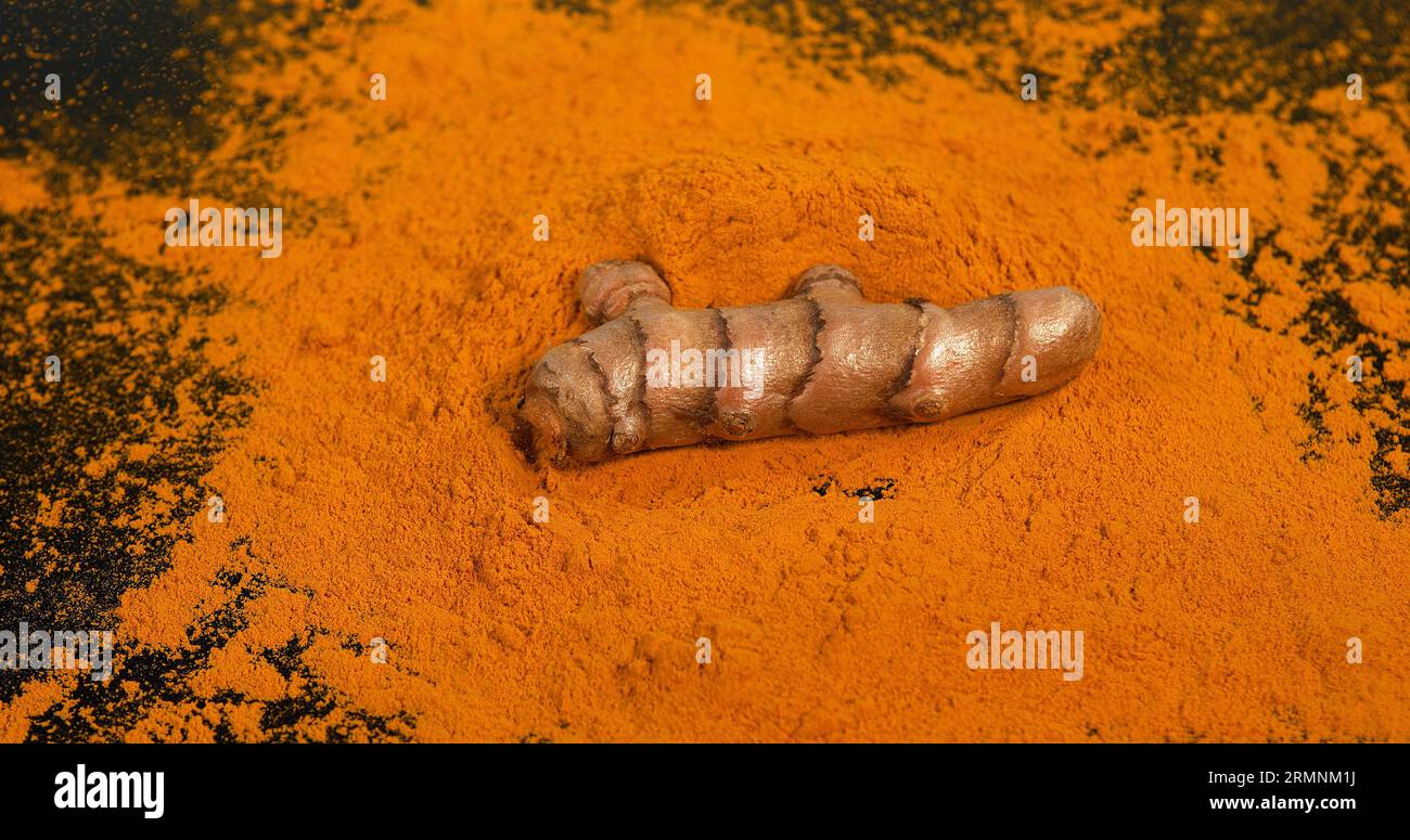 Kurkuma, Kurkuma longa, Wurzel fällt auf Kurkuma Pulver, indische Gewürze Stockfoto