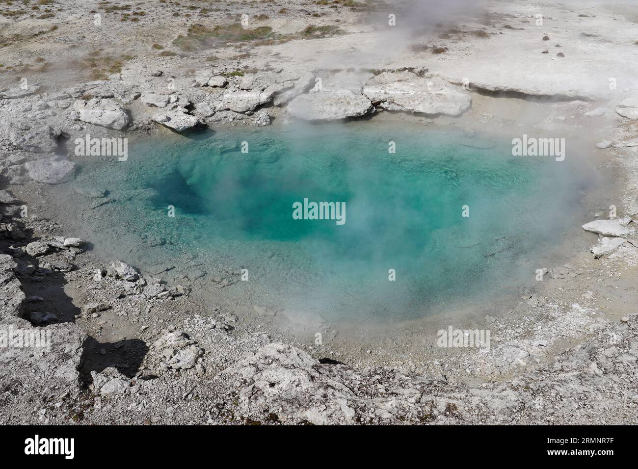 Collapsing Pool, eine leuchtend türkisfarbene heiße Quelle in der West Thumb-Region des Yellowstone-Nationalparks in Wyoming Stockfoto