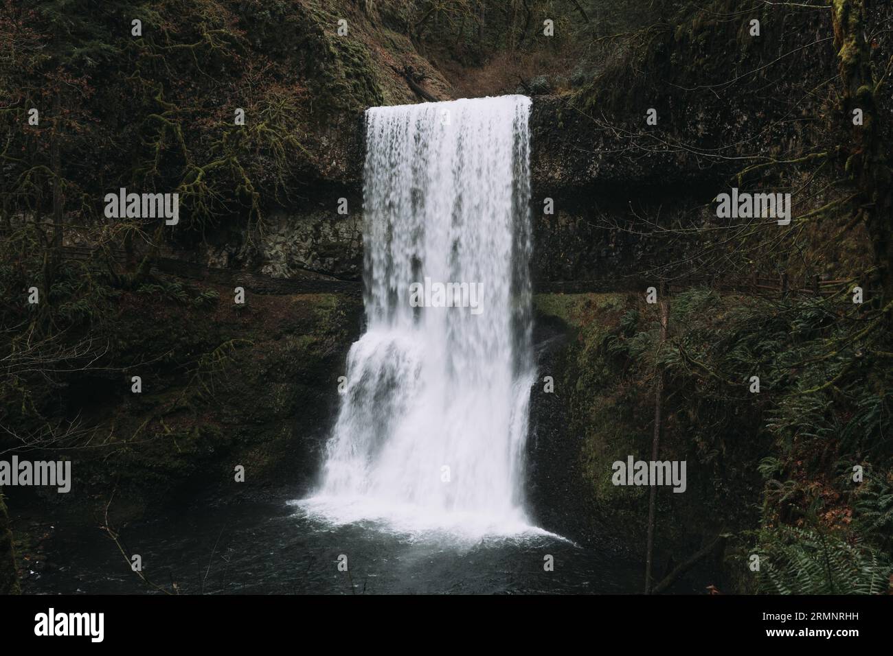 Silver Falls State Park Stockfoto