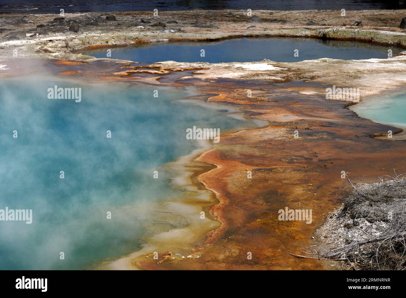 Leuchtende Farben rund um eine heiße Quelle im Yellowstone National Park, die von thermophilen Bakterien stammen, die entlang des Quellrandes wachsen. Stockfoto