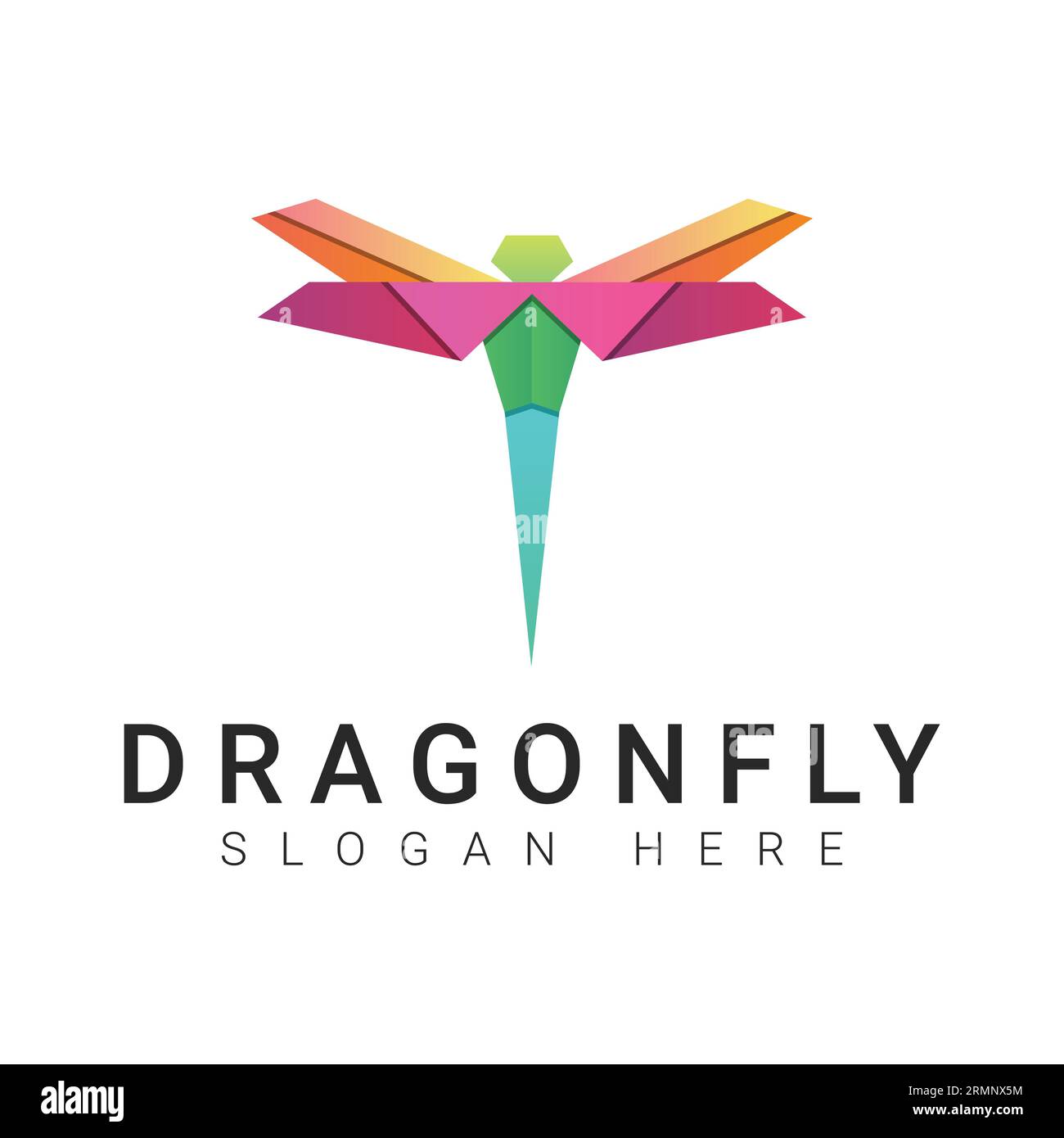 Libelle Logo Design Fliegende Insekten Stock Vektor