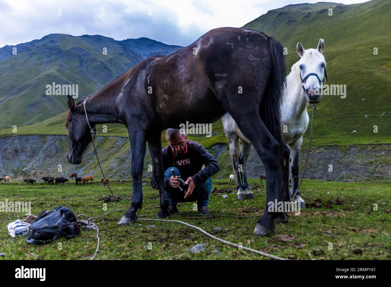 Am Ende des Tages in Tusheti (Georgien) werden die Rudelpferde entladen und bei Bedarf mit Hufeisenhähnen überhäuft Stockfoto