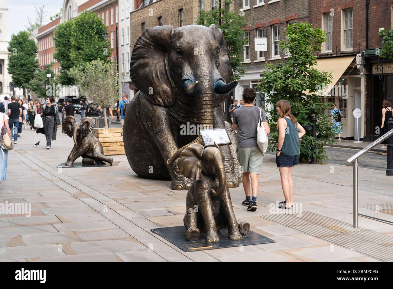 Herde of Hope – eine Familie lebensgroßer Bronzelefanten, die auf dem Spitalfields Market in London herumstreift. Jeder Elefant repräsentiert einen verwaisten Elefanten in Kenia. Stockfoto