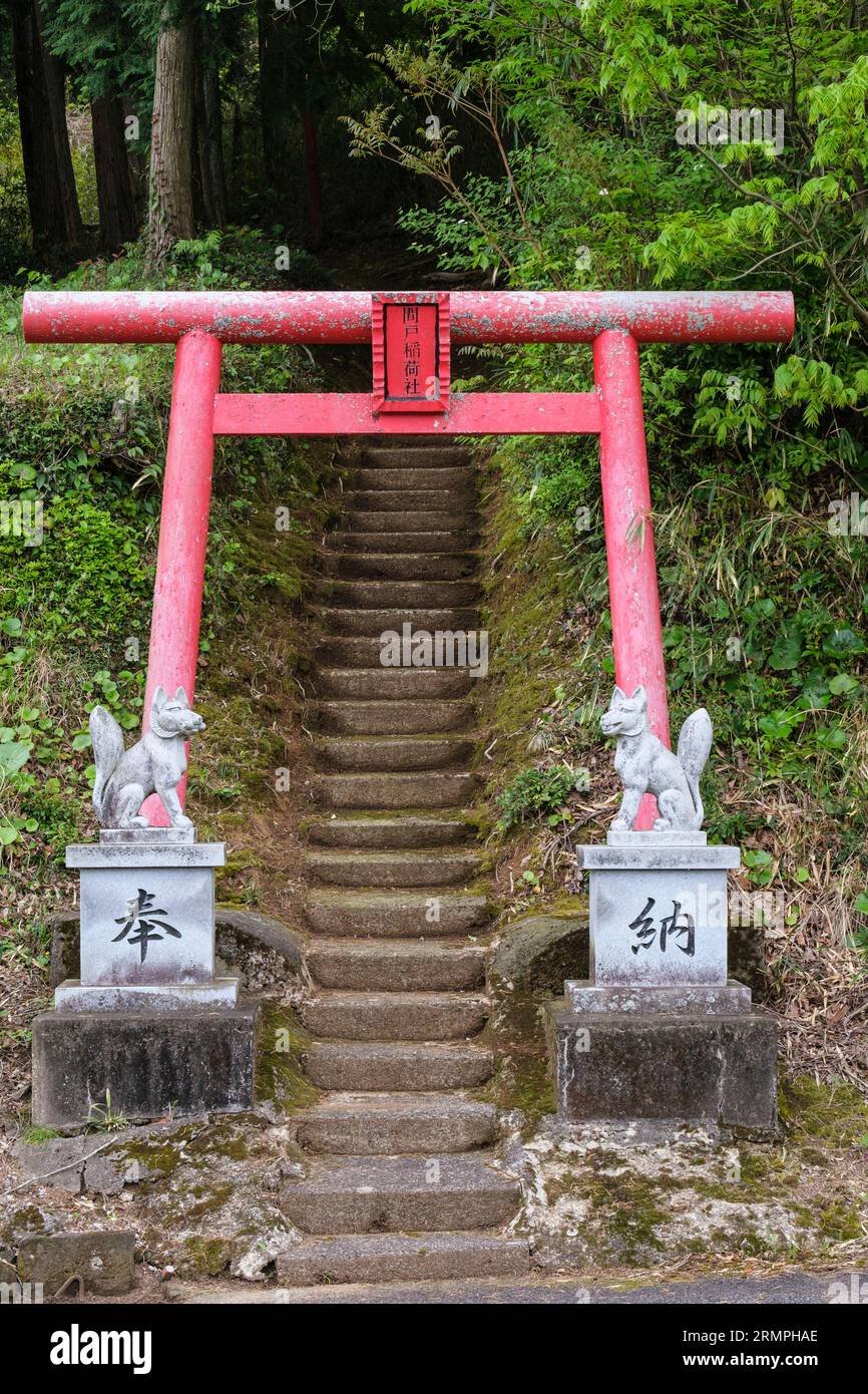 Japan, Kyushu. Schutzfüchse (Kitsune) und Torii-Tor am Eingang zum Pfad zum Shinto-Schrein, Kunisaki-Halbinsel, Präfektur Oita. Stockfoto