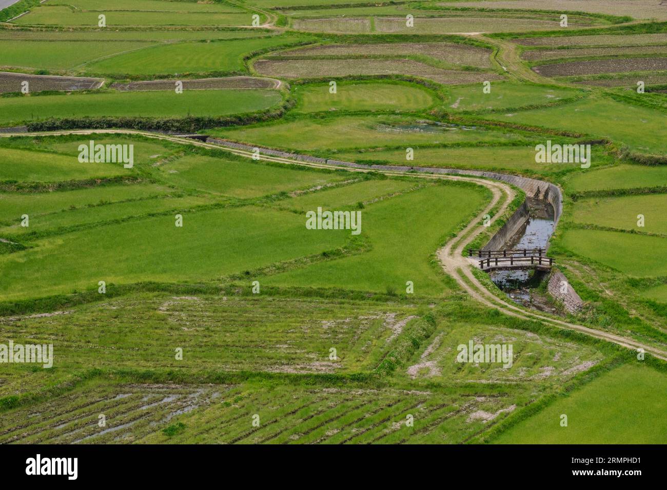 Japan, Kyushu. Blick auf Ackerland vom Tashibu-no-sho Village, Kunisaki Halbinsel, Präfektur Oita. Reisfelder noch nicht bepflanzt. Stockfoto