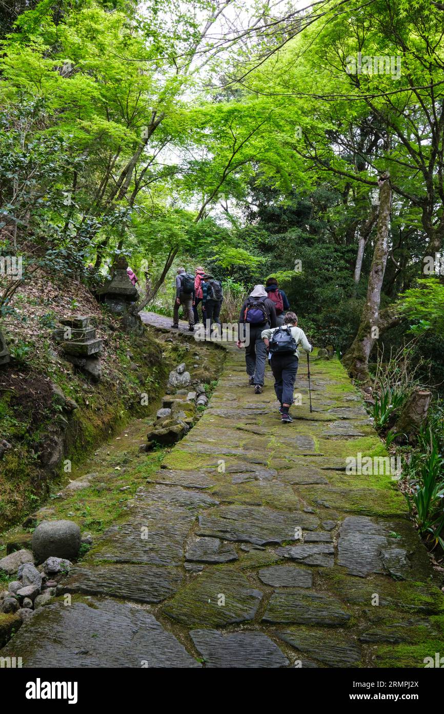 Japan, Präfektur Oita. Wanderer auf dem Weg zum buddhistischen Rakanji-Tempel. Stockfoto