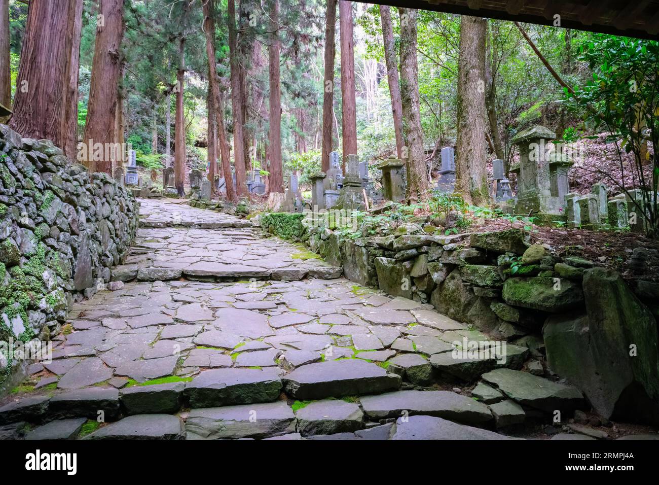 Japan, Präfektur Oita. Friedhof entlang des Weges zum buddhistischen Rakanji-Tempel. Stockfoto