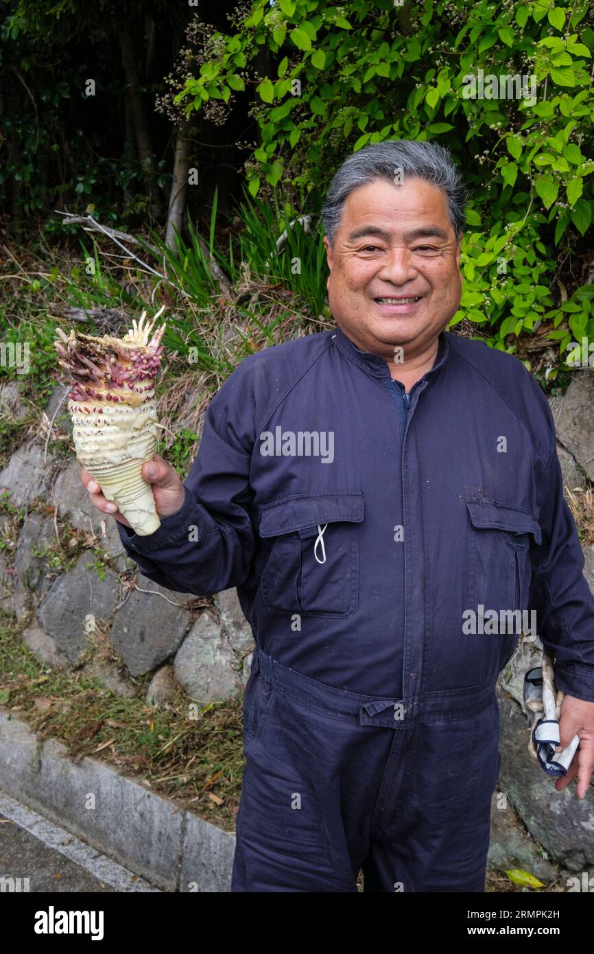 Japan, Kyushu. Mann, der Bambusschießen zeigt, den er gerade geerntet hat. Stockfoto