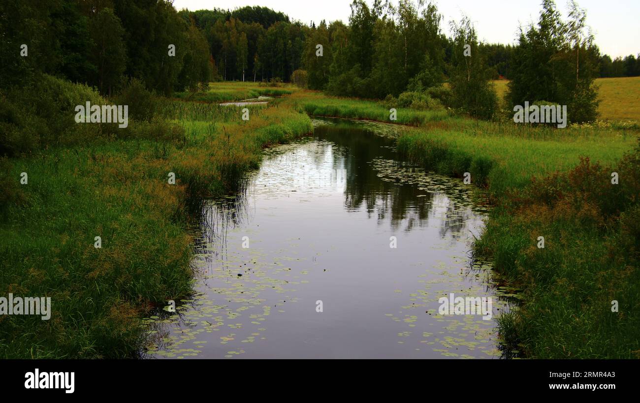 Räikälänjoki, Janakkala, Finnland Stockfoto